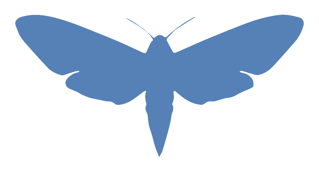 moth_logo_300x150 v2