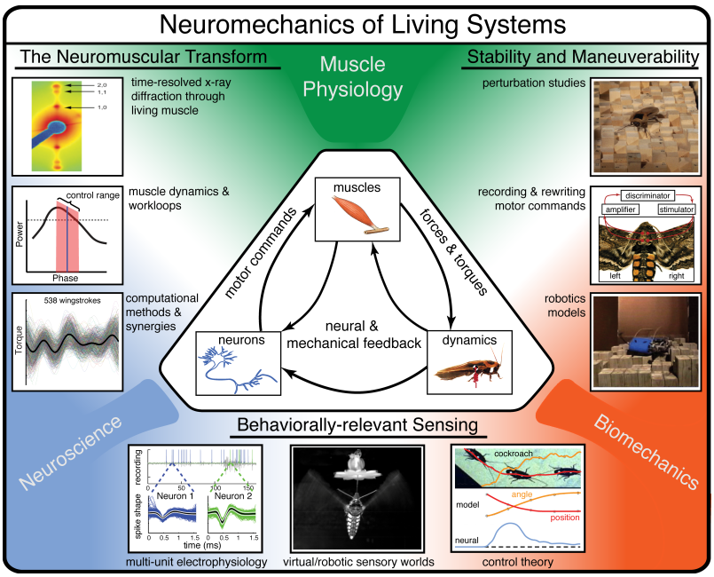 research_concept_figure_v34