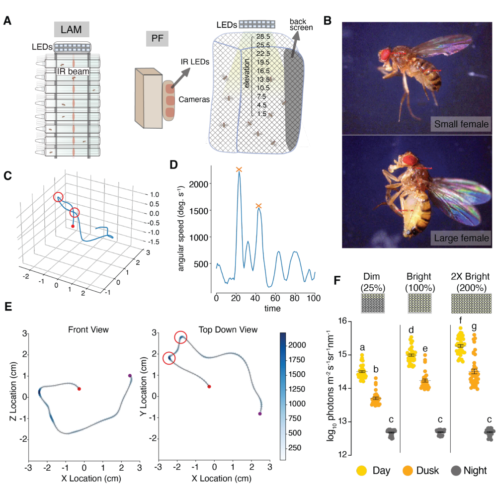 paper image 7