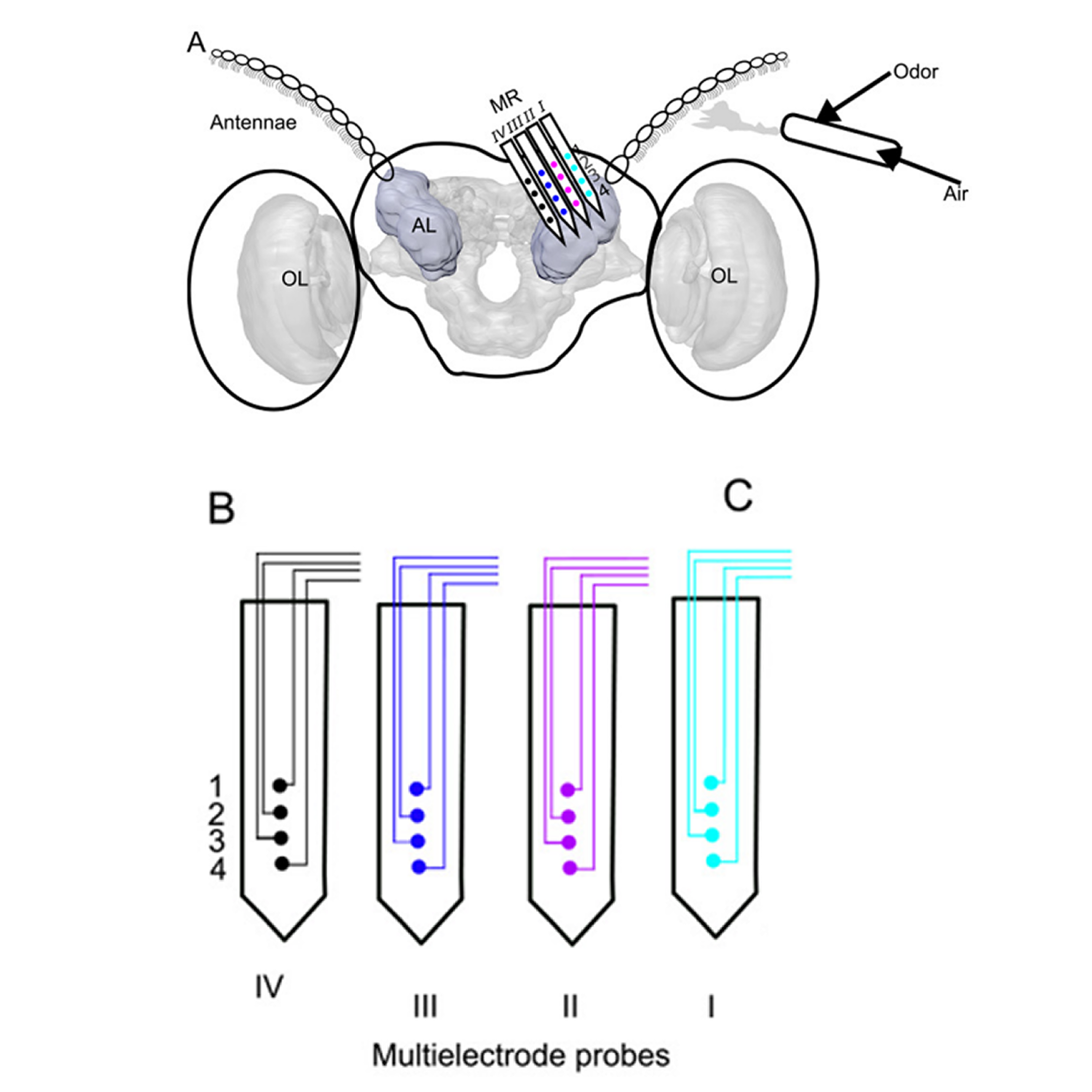 paper image 2025 october 2